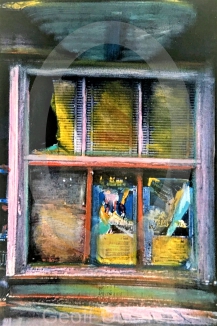 COLLAGE-The Window